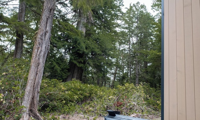 Ucluelet Cabina | NEW Calmwater 1: New Built Waterfront Cabin in Ucluelet