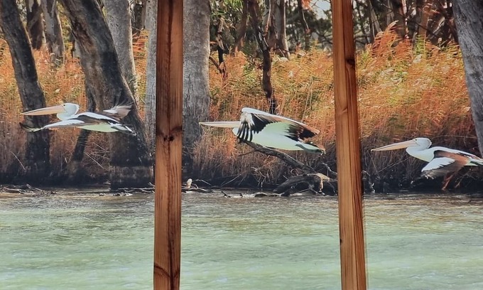 Murbko Casa | Rivergums Homestead - River Frontage! nWith ski beach and board walk.