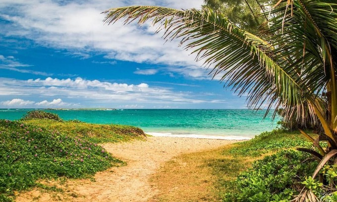 Laie Apartamento | Fantastic apartment in charming Laie