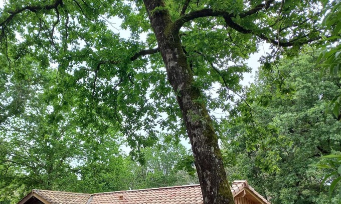 Mios Casa | Vrbo Property