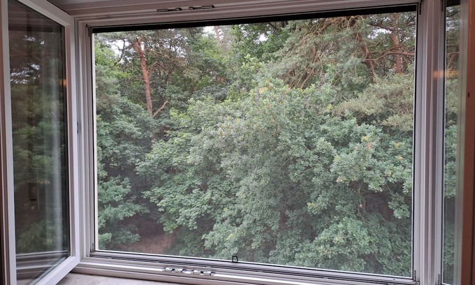 Bielefeld Apartamento | Vrbo Property