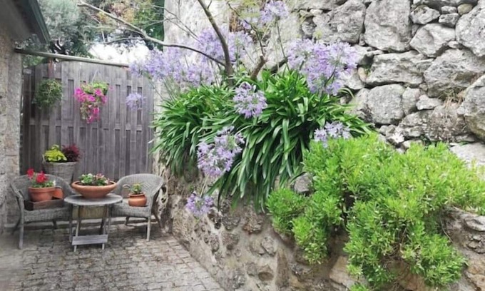Mangualde Apartamento | Authentic apartment in rural area