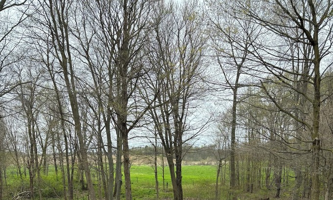 Decatur Casa | Country house with 3 bedrooms and 2 bathrooms. Several acres of woods to hike.