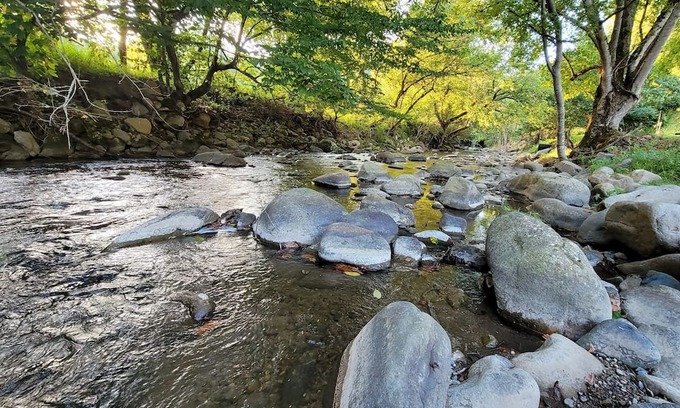 Del Rio Cabina | Enjoy Mother Nature and Spring at The Spot!