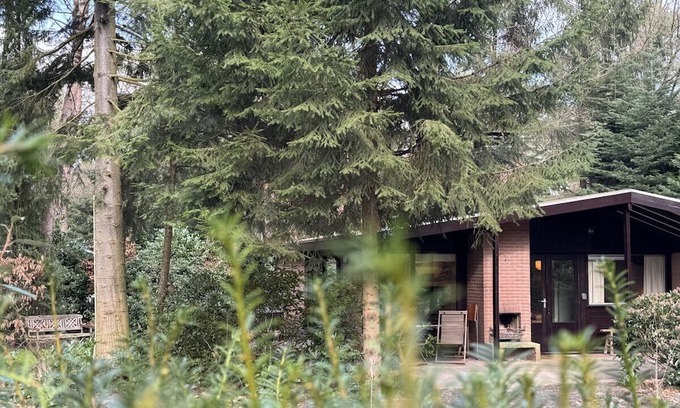 Giethmen Casa | Boshuisje met Open Haard