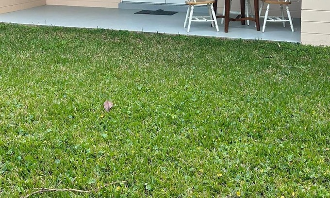 Holly Hill Casa | Terrific 3-bedroom house in Daytona Beach