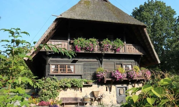 Zell am Harmersbach Apartamento | Appealing apartment in Zell am Harmersbach