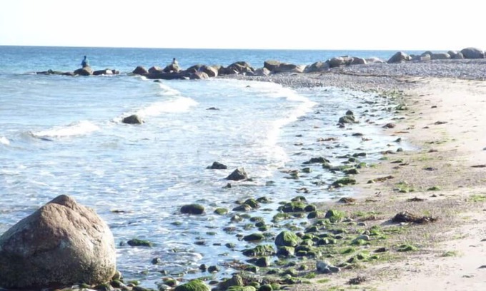Marienleuchte Apartamento | Holiday home Sandpiper