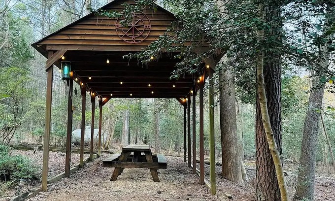 Bynum Cabina | Cute Cabin in the woods ideal for couples