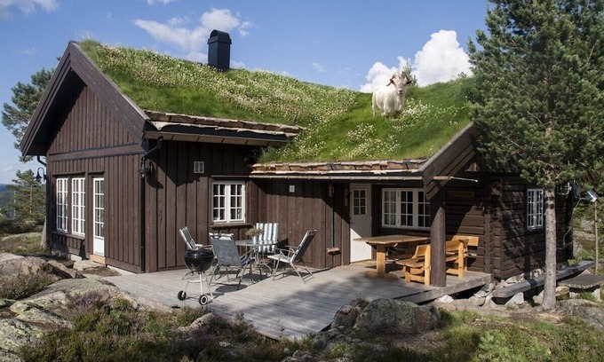 Flesberg Cabina | Moderne, lun og koselig tømmerhytte på Blefjell
