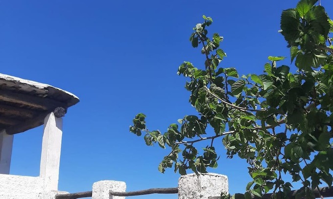 Pitres Casa | Cottage With Incredible Views In The Alpujarras