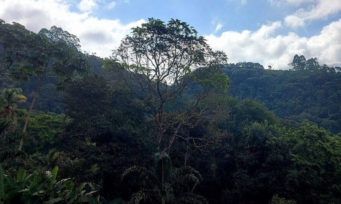 Nova Friburgo Chalet De Esquí | Chalé Super Charmoso com Varanda Para Apreciar Fins de Tarde em Friburgo