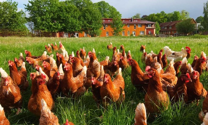 Schwerin Apartamento | Saal - Vacation on the organic farm