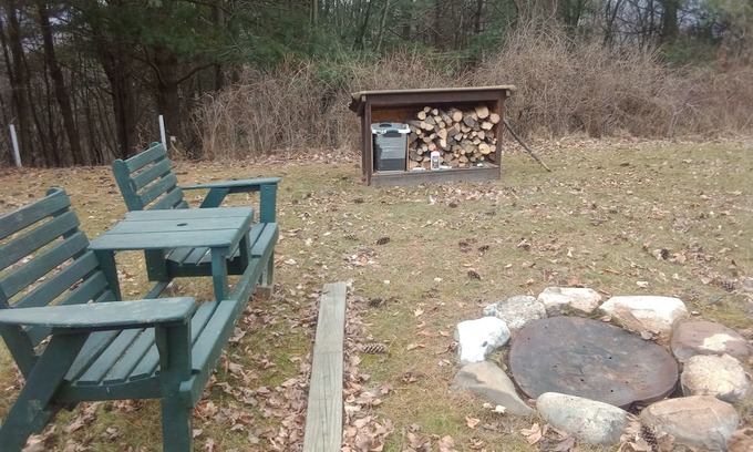 Keuka Park Cabina | Rustic sanctuary surrounded by pines, deer and wildlife but close to everything!