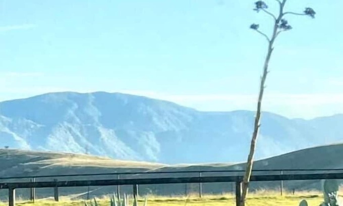 Banning Cabina | Tiny Home, Big Views