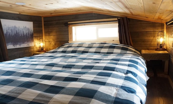 Pine Cabina | Tiny Cabin, Cozy in the Mountains - Pine Grove, Colorado