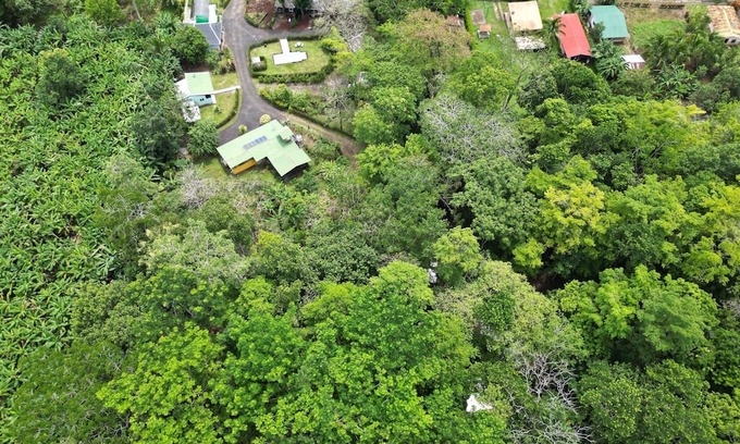 Penjamo Casa | Forest Hideaway: Container Retreat with Private Pool. Pet friendly!