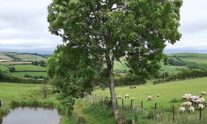 Newcastle-on-Clun Apartamento | Eco-Accommodation