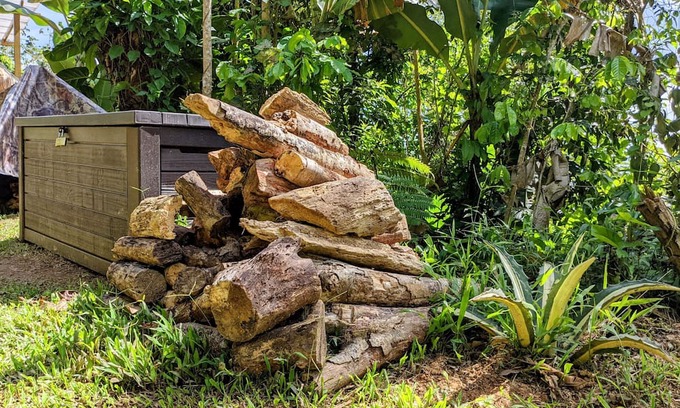 Aibonito Casa | ¡escapada Romántica! Glamping en Burbuja con Jacuzzi Privado Para Dos