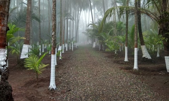 Alibaug Casa | Anandamay is the place for relaxation with your loved ones & perfect for couples