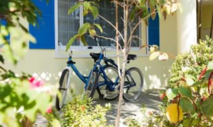 Colliers Bay Complejo | End of Grand Cayman, Wyndham Reef Resort
