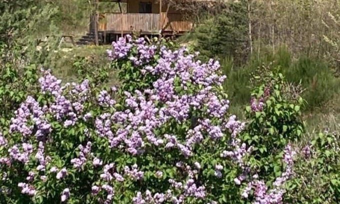 Revest-du-Bion Chalet De Esquí | Glamping tent3: wild-life feeling with Provence touch 3 bedrooms (max. 6 guests)