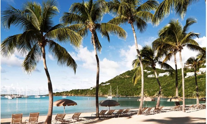 Estate Bellevue Complejo | Westin St. John Resort🌴1 BR Villa🏖️