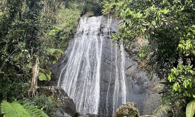 Zarzal Cama Y Desayuno | Tranquil Guest Room Nestled in El Yunque Region. 5mins. From Beach & Rainforest!