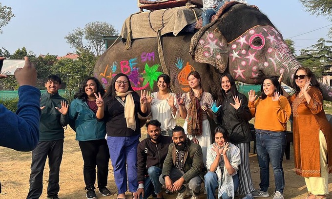 Pink City Casa | Room 1 - You can spend time with elephants by going close them