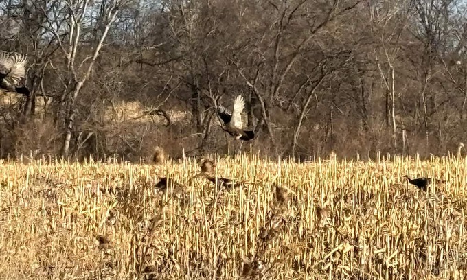 Berwick Cabina | 250+ Acre Private Hunting/Fishing Lodge - 5 minutes to city
