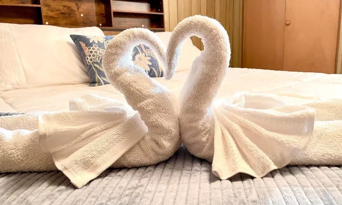 Elmhurst Casa | NEW - 5 mins from Elmhurst Uni - Elmhurst Hospital - Pet Friendly