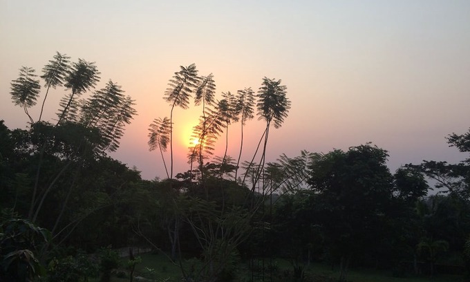 Aburi Cama Y Desayuno | Cosy, personal, family-friendly nature retreat surrounded by trees and fresh air