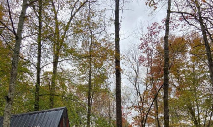Means Cabina | Glamping Unit #5 - Punkin Hollow Resort