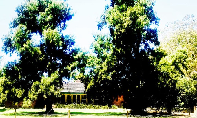 Tocumwal Otro | Idyllic, farming property, hidden amongst towering gumtrees and golden pastures.