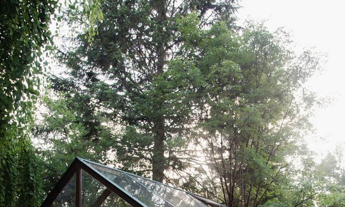 Courtenay Casa | For those seeking a unique getaway with modern comfort and natural beauty!