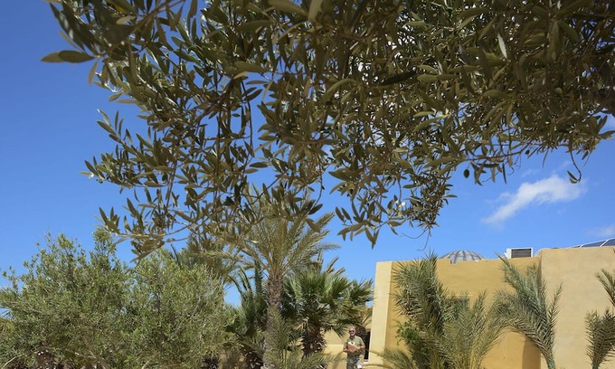 Mellita Casa | Dar Almassa