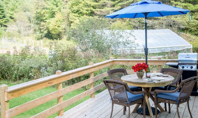 Dugspur Cabaña | Creekside Cottage Near Floyd, VA, and Blue Ridge Parkway with deck and gas grill