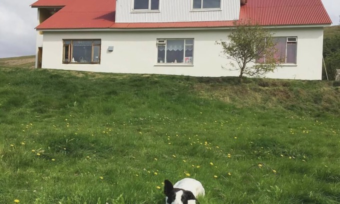 Adaldalur Casa | Öndólfsstaðir Farm B&B