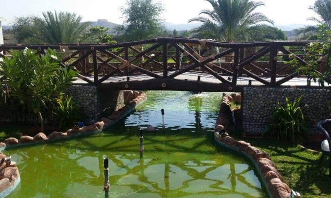 Ras Al Khaimah Otro | Palm Haven Farm Stay Wadi Ashwani Escape
