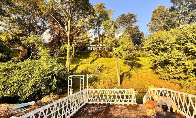 Gunehr Cabaña | Konoha Retreat