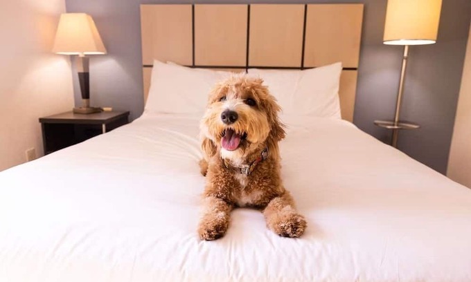 Braintree Hotel | Family-Friendly Stay | Kitchens Near Freedom Trail & Quincy Market | 3 Units
