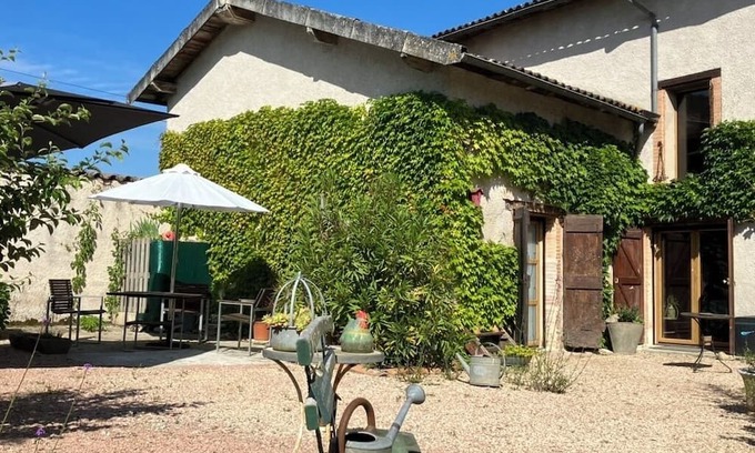 Montans Casa | Duplex des Vignes - Montans - Nature