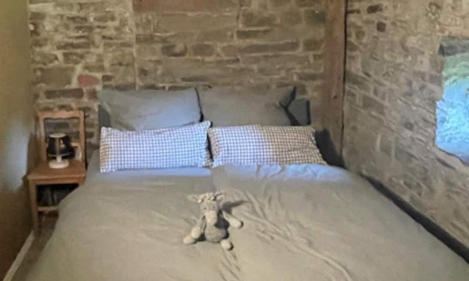 Bongard Apartamento | 2-bed vacation apartment shower/WC, incl. donkey hike - Donkey hike Eifel,