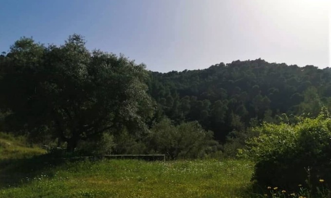 Sithonia Cabaña | wood & stone dream view house A