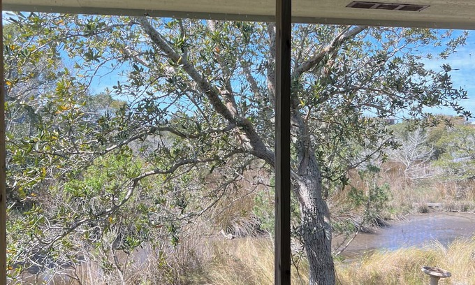 Ocracoke Cabaña | Birdland: Private tiny house with marsh views and kayak access