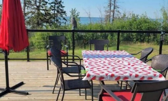 Division No. 7 Cabaña | Our cottage is pet friendly and offers plenty of indoor and outdoor activities,