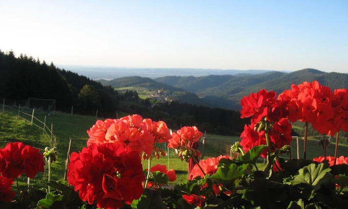 Horben Apartamento | Panoramablick, Typ C, 65 qm, 2. Etage, max. 3 Pers.