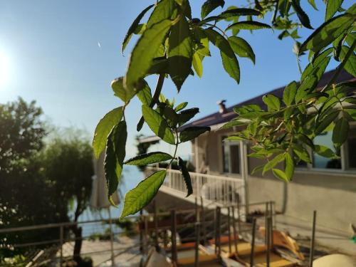 Cayeli Casa | Kemer Kır Evi