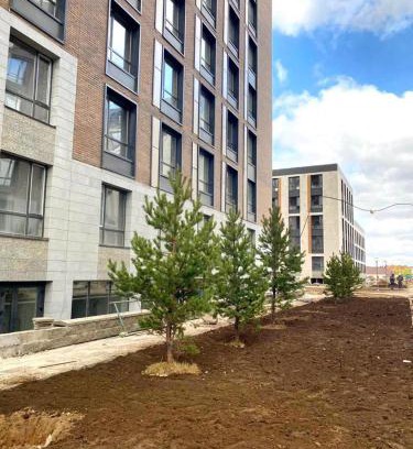 Kyzylorda Apartamento | flat
