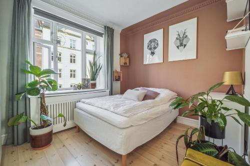 København N Apartamento | Nyistandsat 1BR Lejlighed i Hjertet af Nørrebro
